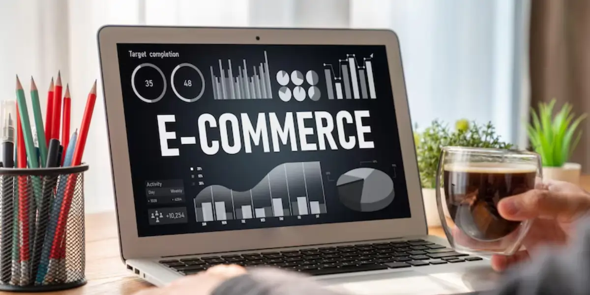 Choosing Professional E-Commerce Website Developers in Turkey